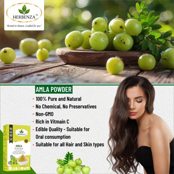 Herbenza 100% Natural Amla Powder – For Healthy Hair & Skin 100g - Image 4