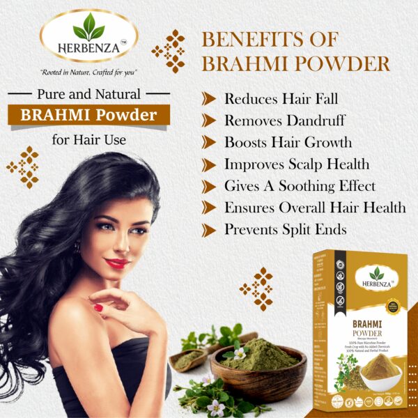 Herbenza Herbal Brahmi Powder – Natural Hair & Mind Wellness 100g - Image 2