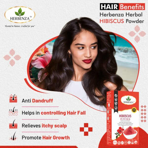 Herbenza Herbal Hibiscus Powder – Natural Hair & Skin Care 100G - Image 2