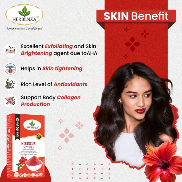 Herbenza Herbal Hibiscus Powder – Natural Hair & Skin Care 100G - Image 4