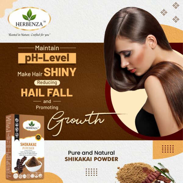 Herbenza Shikakai Powder – Natural Hair Cleanser & Conditioner 100g - Image 2